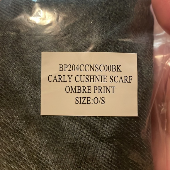 NEW Cushnie Carly Ombré Scarf 🫶 - Picture 6 of 8